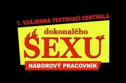 Tričko s vtipným potiskem ''Dokonalý sex"